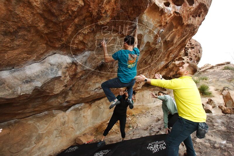 Bouldering in Hueco Tanks on 03/08/2019 with Blue Lizard Climbing and Yoga

Filename: SRM_20190308_1436070.jpg
Aperture: f/5.6
Shutter Speed: 1/320
Body: Canon EOS-1D Mark II
Lens: Canon EF 16-35mm f/2.8 L