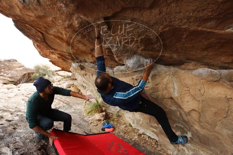 Bouldering in Hueco Tanks on 03/08/2019 with Blue Lizard Climbing and Yoga

Filename: SRM_20190308_1453260.jpg
Aperture: f/5.0
Shutter Speed: 1/250
Body: Canon EOS-1D Mark II
Lens: Canon EF 16-35mm f/2.8 L