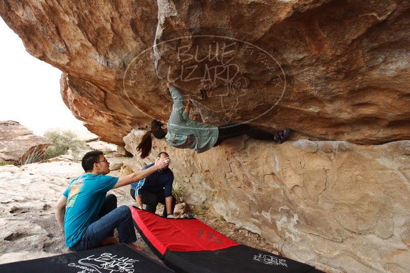 Bouldering in Hueco Tanks on 03/08/2019 with Blue Lizard Climbing and Yoga

Filename: SRM_20190308_1459120.jpg
Aperture: f/5.0
Shutter Speed: 1/250
Body: Canon EOS-1D Mark II
Lens: Canon EF 16-35mm f/2.8 L