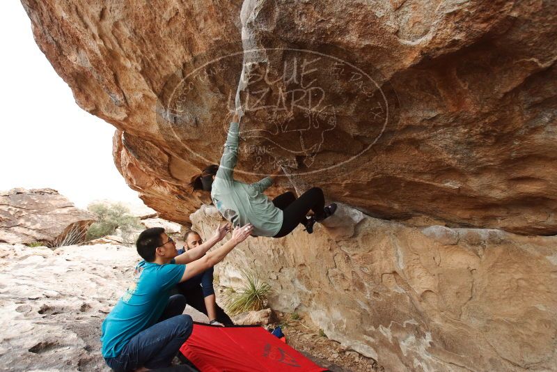 Bouldering in Hueco Tanks on 03/08/2019 with Blue Lizard Climbing and Yoga

Filename: SRM_20190308_1459200.jpg
Aperture: f/5.0
Shutter Speed: 1/250
Body: Canon EOS-1D Mark II
Lens: Canon EF 16-35mm f/2.8 L