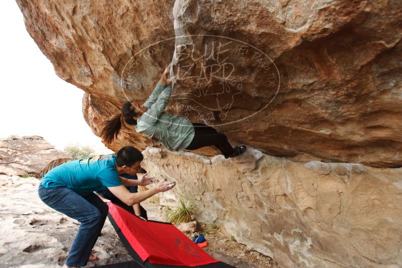 Bouldering in Hueco Tanks on 03/08/2019 with Blue Lizard Climbing and Yoga

Filename: SRM_20190308_1459220.jpg
Aperture: f/5.0
Shutter Speed: 1/200
Body: Canon EOS-1D Mark II
Lens: Canon EF 16-35mm f/2.8 L