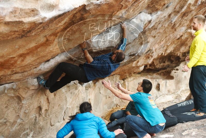 Bouldering in Hueco Tanks on 03/08/2019 with Blue Lizard Climbing and Yoga

Filename: SRM_20190308_1505490.jpg
Aperture: f/2.8
Shutter Speed: 1/320
Body: Canon EOS-1D Mark II
Lens: Canon EF 50mm f/1.8 II