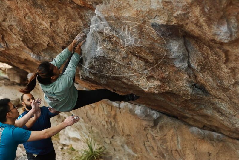 Bouldering in Hueco Tanks on 03/08/2019 with Blue Lizard Climbing and Yoga

Filename: SRM_20190308_1513210.jpg
Aperture: f/2.8
Shutter Speed: 1/400
Body: Canon EOS-1D Mark II
Lens: Canon EF 50mm f/1.8 II