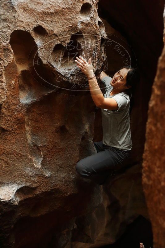 Bouldering in Hueco Tanks on 03/08/2019 with Blue Lizard Climbing and Yoga

Filename: SRM_20190308_1655120.jpg
Aperture: f/2.5
Shutter Speed: 1/160
Body: Canon EOS-1D Mark II
Lens: Canon EF 50mm f/1.8 II