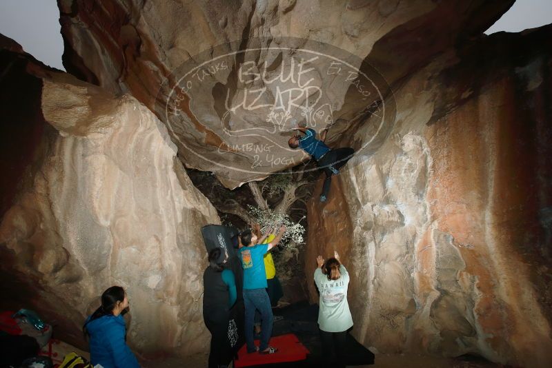 Bouldering in Hueco Tanks on 03/08/2019 with Blue Lizard Climbing and Yoga

Filename: SRM_20190308_1743160.jpg
Aperture: f/5.6
Shutter Speed: 1/250
Body: Canon EOS-1D Mark II
Lens: Canon EF 16-35mm f/2.8 L