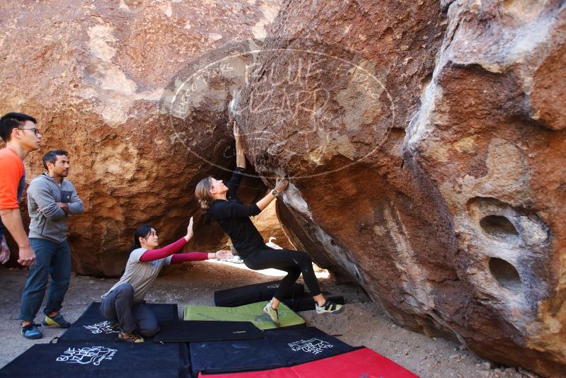 Bouldering in Hueco Tanks on 03/09/2019 with Blue Lizard Climbing and Yoga

Filename: SRM_20190309_1116170.jpg
Aperture: f/4.0
Shutter Speed: 1/500
Body: Canon EOS-1D Mark II
Lens: Canon EF 16-35mm f/2.8 L