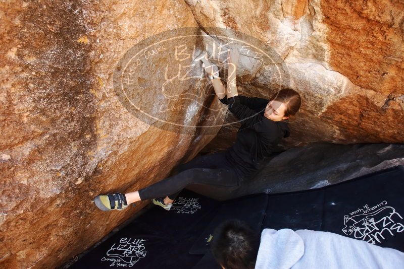 Bouldering in Hueco Tanks on 03/09/2019 with Blue Lizard Climbing and Yoga

Filename: SRM_20190309_1149570.jpg
Aperture: f/5.6
Shutter Speed: 1/200
Body: Canon EOS-1D Mark II
Lens: Canon EF 16-35mm f/2.8 L