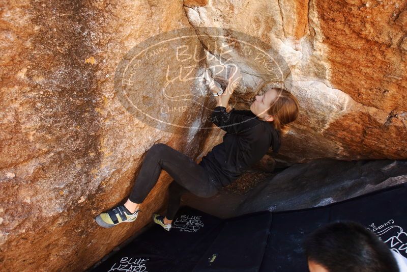 Bouldering in Hueco Tanks on 03/09/2019 with Blue Lizard Climbing and Yoga

Filename: SRM_20190309_1149580.jpg
Aperture: f/5.6
Shutter Speed: 1/125
Body: Canon EOS-1D Mark II
Lens: Canon EF 16-35mm f/2.8 L