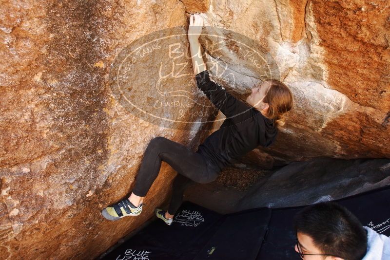 Bouldering in Hueco Tanks on 03/09/2019 with Blue Lizard Climbing and Yoga

Filename: SRM_20190309_1149590.jpg
Aperture: f/5.6
Shutter Speed: 1/125
Body: Canon EOS-1D Mark II
Lens: Canon EF 16-35mm f/2.8 L