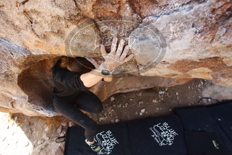 Bouldering in Hueco Tanks on 03/09/2019 with Blue Lizard Climbing and Yoga

Filename: SRM_20190309_1211190.jpg
Aperture: f/5.6
Shutter Speed: 1/320
Body: Canon EOS-1D Mark II
Lens: Canon EF 16-35mm f/2.8 L