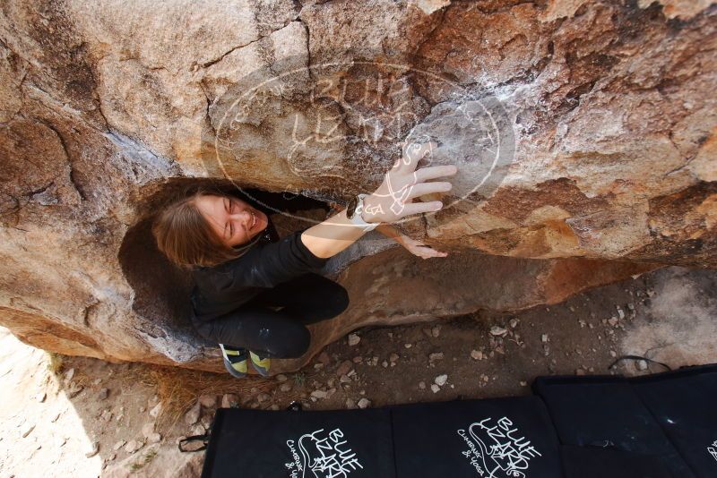 Bouldering in Hueco Tanks on 03/09/2019 with Blue Lizard Climbing and Yoga

Filename: SRM_20190309_1216570.jpg
Aperture: f/5.6
Shutter Speed: 1/400
Body: Canon EOS-1D Mark II
Lens: Canon EF 16-35mm f/2.8 L