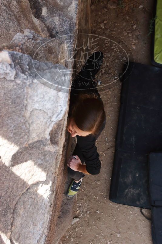 Bouldering in Hueco Tanks on 03/09/2019 with Blue Lizard Climbing and Yoga

Filename: SRM_20190309_1257180.jpg
Aperture: f/5.6
Shutter Speed: 1/320
Body: Canon EOS-1D Mark II
Lens: Canon EF 16-35mm f/2.8 L