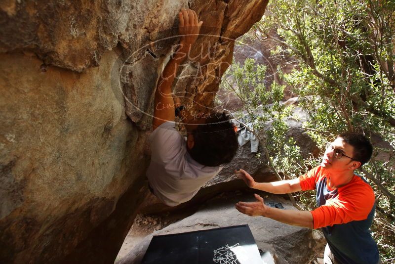 Bouldering in Hueco Tanks on 03/09/2019 with Blue Lizard Climbing and Yoga

Filename: SRM_20190309_1329580.jpg
Aperture: f/5.6
Shutter Speed: 1/250
Body: Canon EOS-1D Mark II
Lens: Canon EF 16-35mm f/2.8 L