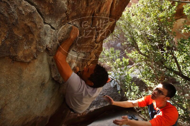 Bouldering in Hueco Tanks on 03/09/2019 with Blue Lizard Climbing and Yoga

Filename: SRM_20190309_1330030.jpg
Aperture: f/5.6
Shutter Speed: 1/320
Body: Canon EOS-1D Mark II
Lens: Canon EF 16-35mm f/2.8 L