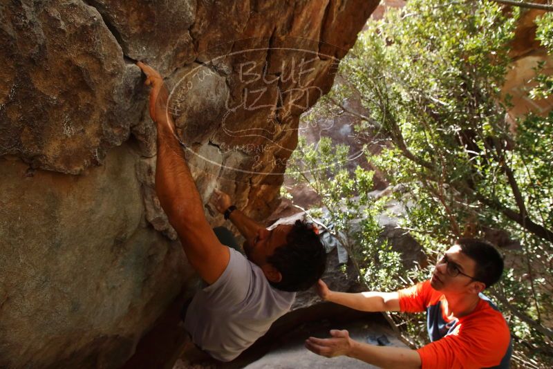 Bouldering in Hueco Tanks on 03/09/2019 with Blue Lizard Climbing and Yoga

Filename: SRM_20190309_1330040.jpg
Aperture: f/5.6
Shutter Speed: 1/320
Body: Canon EOS-1D Mark II
Lens: Canon EF 16-35mm f/2.8 L