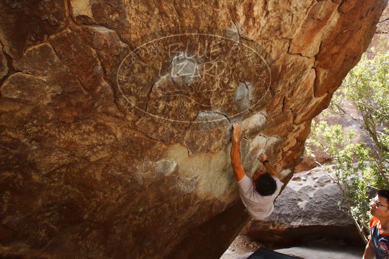 Bouldering in Hueco Tanks on 03/09/2019 with Blue Lizard Climbing and Yoga

Filename: SRM_20190309_1335170.jpg
Aperture: f/5.6
Shutter Speed: 1/200
Body: Canon EOS-1D Mark II
Lens: Canon EF 16-35mm f/2.8 L