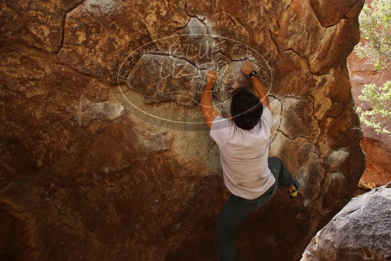 Bouldering in Hueco Tanks on 03/09/2019 with Blue Lizard Climbing and Yoga

Filename: SRM_20190309_1339000.jpg
Aperture: f/5.6
Shutter Speed: 1/200
Body: Canon EOS-1D Mark II
Lens: Canon EF 16-35mm f/2.8 L