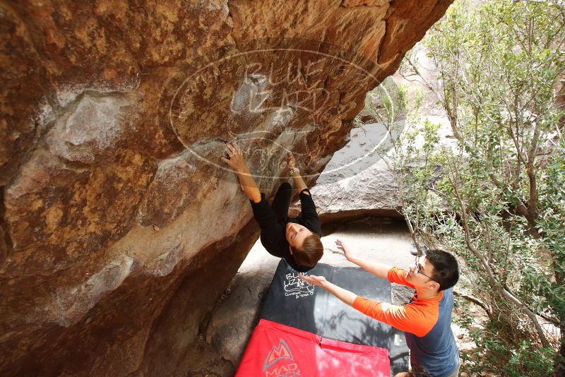 Bouldering in Hueco Tanks on 03/09/2019 with Blue Lizard Climbing and Yoga

Filename: SRM_20190309_1411520.jpg
Aperture: f/5.6
Shutter Speed: 1/250
Body: Canon EOS-1D Mark II
Lens: Canon EF 16-35mm f/2.8 L