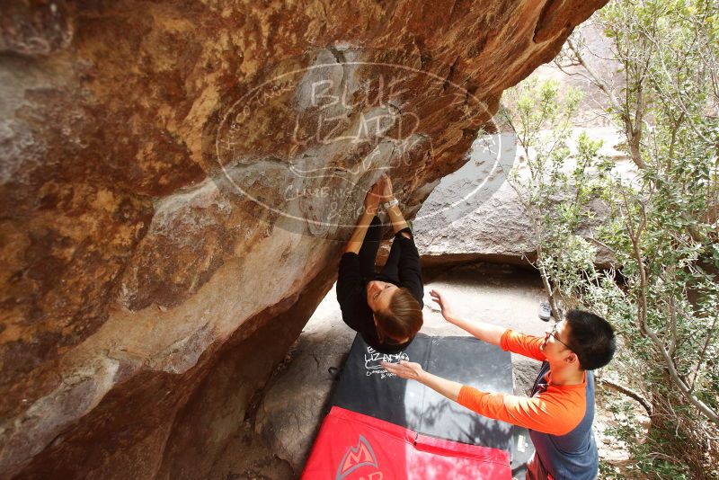 Bouldering in Hueco Tanks on 03/09/2019 with Blue Lizard Climbing and Yoga

Filename: SRM_20190309_1412320.jpg
Aperture: f/5.6
Shutter Speed: 1/250
Body: Canon EOS-1D Mark II
Lens: Canon EF 16-35mm f/2.8 L