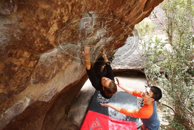 Bouldering in Hueco Tanks on 03/09/2019 with Blue Lizard Climbing and Yoga

Filename: SRM_20190309_1412321.jpg
Aperture: f/5.6
Shutter Speed: 1/250
Body: Canon EOS-1D Mark II
Lens: Canon EF 16-35mm f/2.8 L