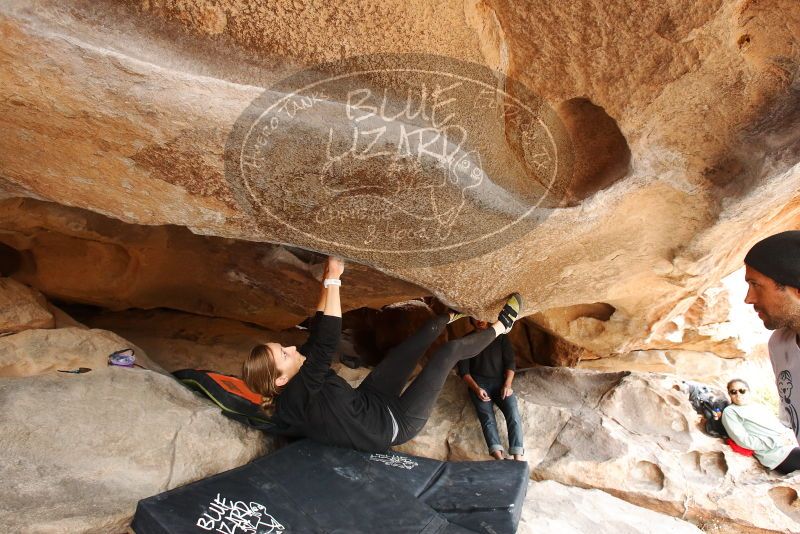 Bouldering in Hueco Tanks on 03/09/2019 with Blue Lizard Climbing and Yoga

Filename: SRM_20190309_1526380.jpg
Aperture: f/5.6
Shutter Speed: 1/250
Body: Canon EOS-1D Mark II
Lens: Canon EF 16-35mm f/2.8 L