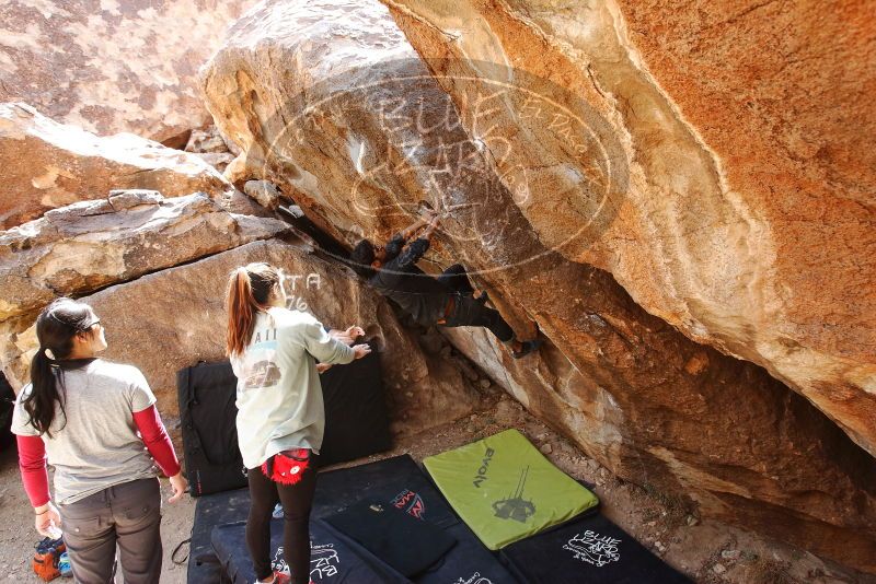 Bouldering in Hueco Tanks on 03/09/2019 with Blue Lizard Climbing and Yoga

Filename: SRM_20190309_1232130.jpg
Aperture: f/5.6
Shutter Speed: 1/200
Body: Canon EOS-1D Mark II
Lens: Canon EF 16-35mm f/2.8 L