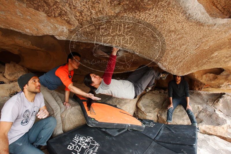 Bouldering in Hueco Tanks on 03/09/2019 with Blue Lizard Climbing and Yoga

Filename: SRM_20190309_1536020.jpg
Aperture: f/5.6
Shutter Speed: 1/250
Body: Canon EOS-1D Mark II
Lens: Canon EF 16-35mm f/2.8 L