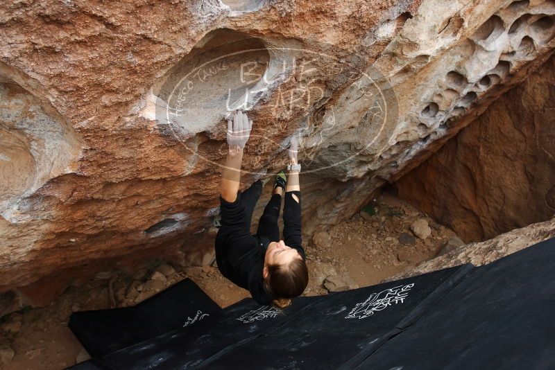 Bouldering in Hueco Tanks on 03/10/2019 with Blue Lizard Climbing and Yoga

Filename: SRM_20190310_1034281.jpg
Aperture: f/5.6
Shutter Speed: 1/320
Body: Canon EOS-1D Mark II
Lens: Canon EF 16-35mm f/2.8 L