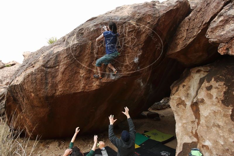 Bouldering in Hueco Tanks on 03/10/2019 with Blue Lizard Climbing and Yoga

Filename: SRM_20190310_1057390.jpg
Aperture: f/5.6
Shutter Speed: 1/400
Body: Canon EOS-1D Mark II
Lens: Canon EF 16-35mm f/2.8 L