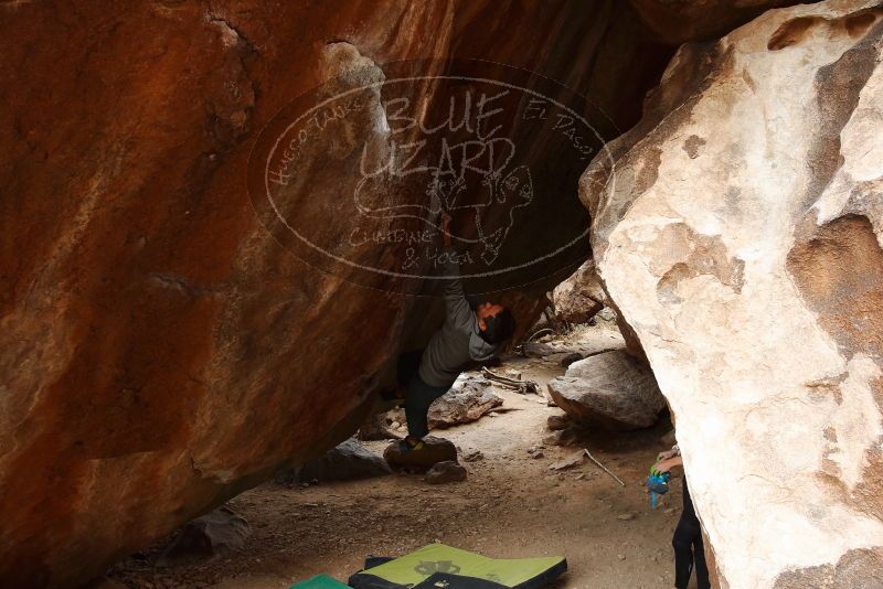 Bouldering in Hueco Tanks on 03/10/2019 with Blue Lizard Climbing and Yoga

Filename: SRM_20190310_1115170.jpg
Aperture: f/5.6
Shutter Speed: 1/125
Body: Canon EOS-1D Mark II
Lens: Canon EF 16-35mm f/2.8 L