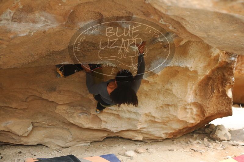 Bouldering in Hueco Tanks on 03/10/2019 with Blue Lizard Climbing and Yoga

Filename: SRM_20190310_1439030.jpg
Aperture: f/2.8
Shutter Speed: 1/200
Body: Canon EOS-1D Mark II
Lens: Canon EF 50mm f/1.8 II