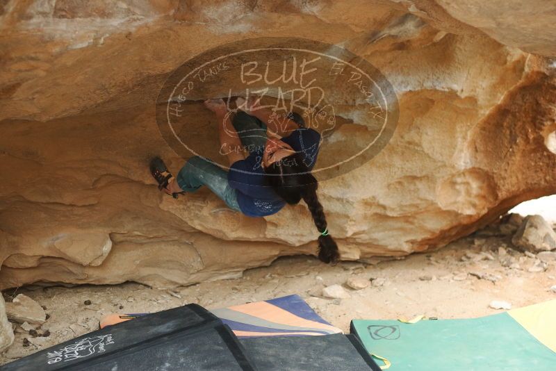 Bouldering in Hueco Tanks on 03/10/2019 with Blue Lizard Climbing and Yoga

Filename: SRM_20190310_1440010.jpg
Aperture: f/2.8
Shutter Speed: 1/200
Body: Canon EOS-1D Mark II
Lens: Canon EF 50mm f/1.8 II