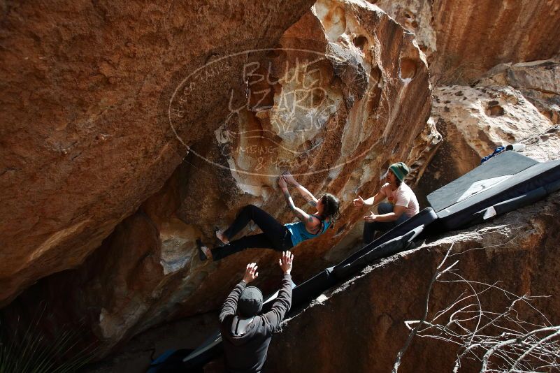 Bouldering in Hueco Tanks on 03/15/2019 with Blue Lizard Climbing and Yoga

Filename: SRM_20190315_1410160.jpg
Aperture: f/5.6
Shutter Speed: 1/500
Body: Canon EOS-1D Mark II
Lens: Canon EF 16-35mm f/2.8 L