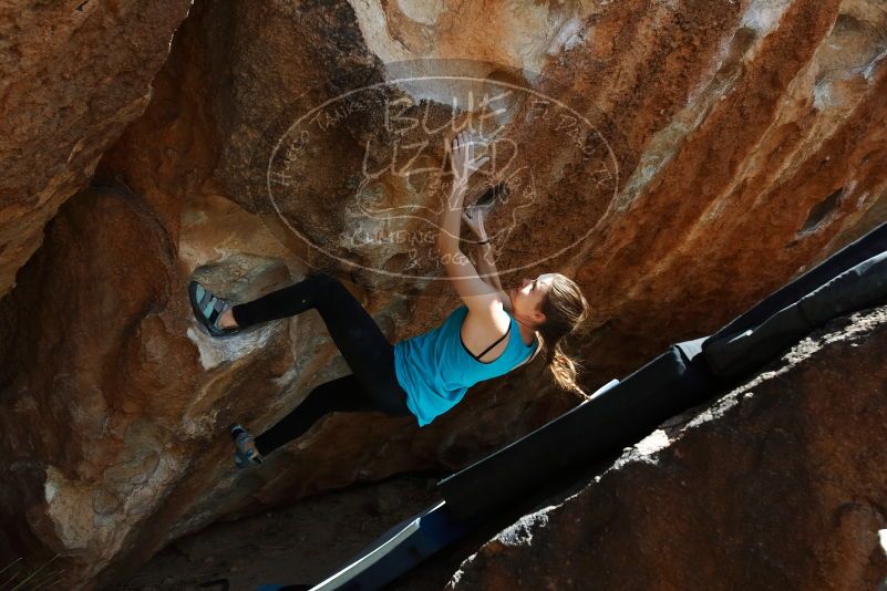 Bouldering in Hueco Tanks on 03/15/2019 with Blue Lizard Climbing and Yoga

Filename: SRM_20190315_1413411.jpg
Aperture: f/5.6
Shutter Speed: 1/400
Body: Canon EOS-1D Mark II
Lens: Canon EF 16-35mm f/2.8 L