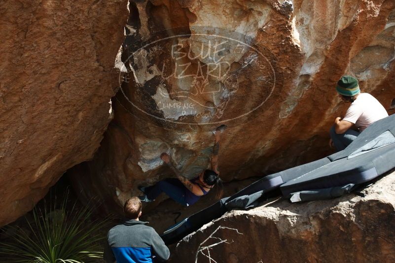 Bouldering in Hueco Tanks on 03/15/2019 with Blue Lizard Climbing and Yoga

Filename: SRM_20190315_1423410.jpg
Aperture: f/5.6
Shutter Speed: 1/640
Body: Canon EOS-1D Mark II
Lens: Canon EF 16-35mm f/2.8 L