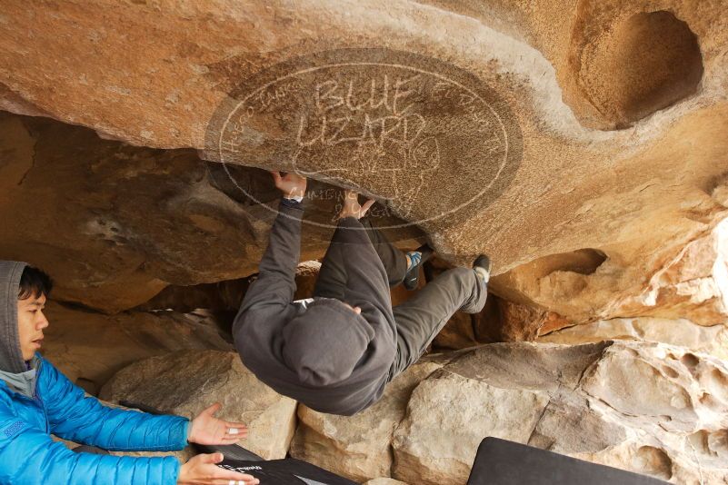 Bouldering in Hueco Tanks on 03/16/2019 with Blue Lizard Climbing and Yoga

Filename: SRM_20190316_1209000.jpg
Aperture: f/5.0
Shutter Speed: 1/125
Body: Canon EOS-1D Mark II
Lens: Canon EF 16-35mm f/2.8 L