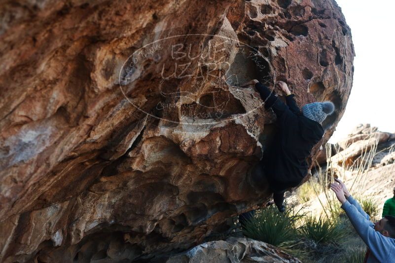 Bouldering in Hueco Tanks on 03/17/2019 with Blue Lizard Climbing and Yoga

Filename: SRM_20190317_0926460.jpg
Aperture: f/4.0
Shutter Speed: 1/400
Body: Canon EOS-1D Mark II
Lens: Canon EF 50mm f/1.8 II