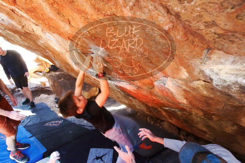 Bouldering in Hueco Tanks on 03/17/2019 with Blue Lizard Climbing and Yoga

Filename: SRM_20190317_1301231.jpg
Aperture: f/5.6
Shutter Speed: 1/80
Body: Canon EOS-1D Mark II
Lens: Canon EF 16-35mm f/2.8 L