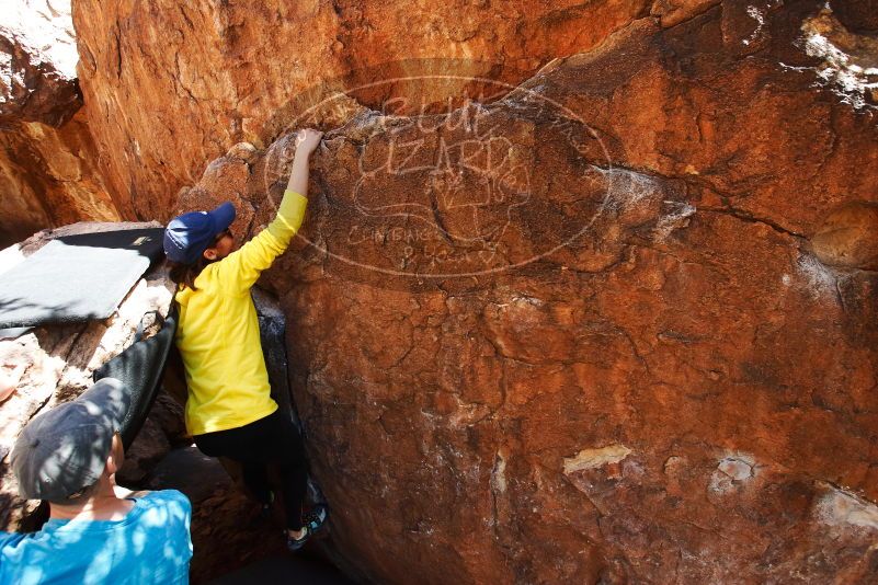 Bouldering in Hueco Tanks on 03/17/2019 with Blue Lizard Climbing and Yoga

Filename: SRM_20190317_1416040.jpg
Aperture: f/5.6
Shutter Speed: 1/400
Body: Canon EOS-1D Mark II
Lens: Canon EF 16-35mm f/2.8 L