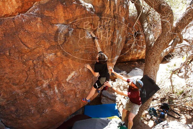 Bouldering in Hueco Tanks on 03/17/2019 with Blue Lizard Climbing and Yoga

Filename: SRM_20190317_1423411.jpg
Aperture: f/5.6
Shutter Speed: 1/320
Body: Canon EOS-1D Mark II
Lens: Canon EF 16-35mm f/2.8 L