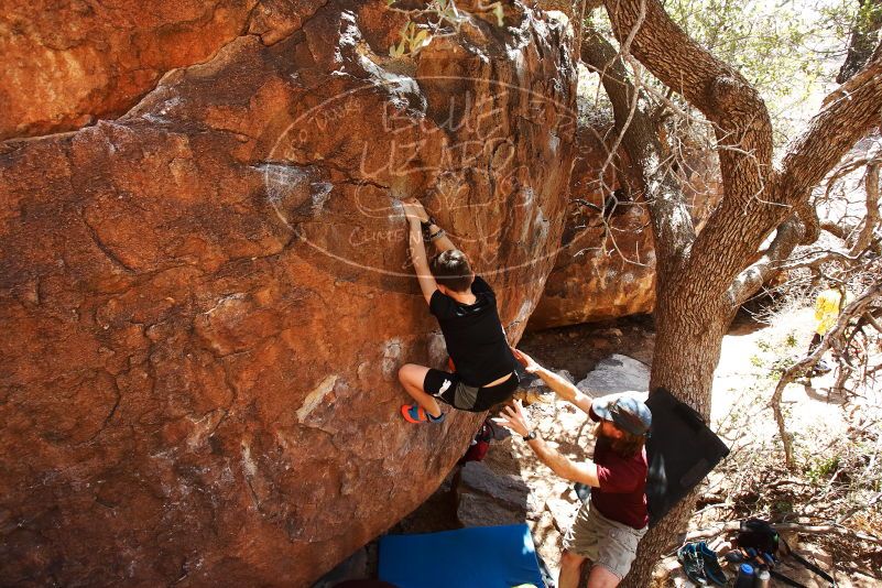 Bouldering in Hueco Tanks on 03/17/2019 with Blue Lizard Climbing and Yoga

Filename: SRM_20190317_1423460.jpg
Aperture: f/5.6
Shutter Speed: 1/400
Body: Canon EOS-1D Mark II
Lens: Canon EF 16-35mm f/2.8 L