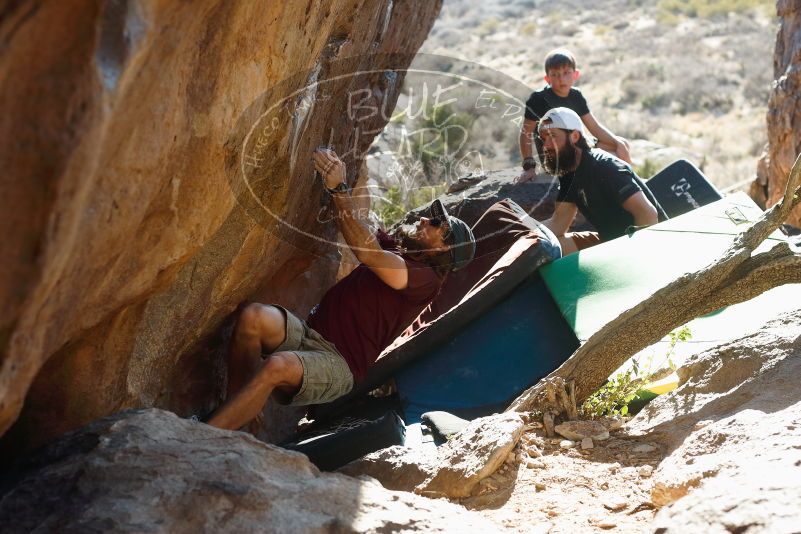 Bouldering in Hueco Tanks on 03/17/2019 with Blue Lizard Climbing and Yoga

Filename: SRM_20190317_1730310.jpg
Aperture: f/4.0
Shutter Speed: 1/250
Body: Canon EOS-1D Mark II
Lens: Canon EF 50mm f/1.8 II