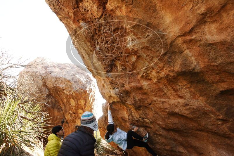 Bouldering in Hueco Tanks on 03/20/2019 with Blue Lizard Climbing and Yoga

Filename: SRM_20190320_0952210.jpg
Aperture: f/5.6
Shutter Speed: 1/250
Body: Canon EOS-1D Mark II
Lens: Canon EF 16-35mm f/2.8 L