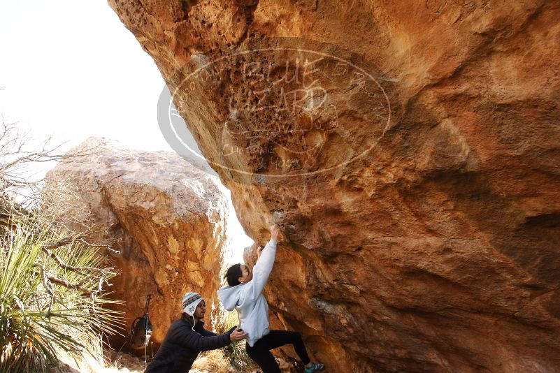 Bouldering in Hueco Tanks on 03/20/2019 with Blue Lizard Climbing and Yoga

Filename: SRM_20190320_0954410.jpg
Aperture: f/5.6
Shutter Speed: 1/250
Body: Canon EOS-1D Mark II
Lens: Canon EF 16-35mm f/2.8 L