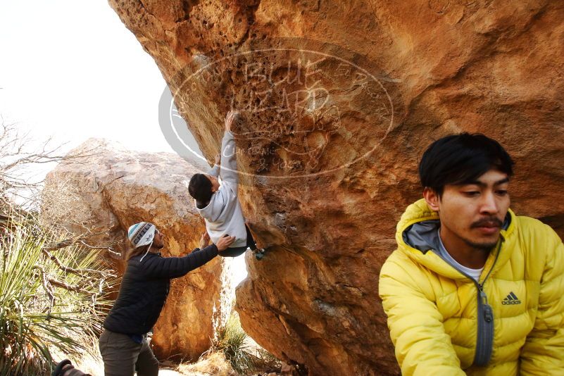 Bouldering in Hueco Tanks on 03/20/2019 with Blue Lizard Climbing and Yoga

Filename: SRM_20190320_0957390.jpg
Aperture: f/5.6
Shutter Speed: 1/250
Body: Canon EOS-1D Mark II
Lens: Canon EF 16-35mm f/2.8 L