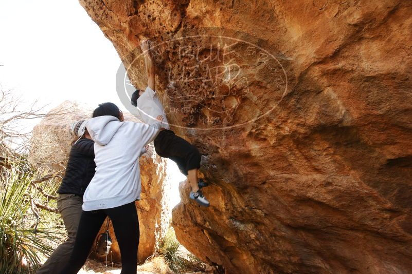 Bouldering in Hueco Tanks on 03/20/2019 with Blue Lizard Climbing and Yoga

Filename: SRM_20190320_1002540.jpg
Aperture: f/5.6
Shutter Speed: 1/250
Body: Canon EOS-1D Mark II
Lens: Canon EF 16-35mm f/2.8 L