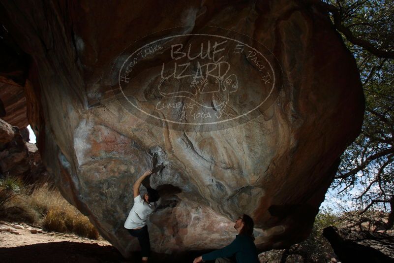 Bouldering in Hueco Tanks on 03/20/2019 with Blue Lizard Climbing and Yoga

Filename: SRM_20190320_1253490.jpg
Aperture: f/5.6
Shutter Speed: 1/250
Body: Canon EOS-1D Mark II
Lens: Canon EF 16-35mm f/2.8 L