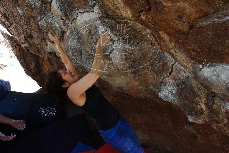 Bouldering in Hueco Tanks on 03/29/2019 with Blue Lizard Climbing and Yoga

Filename: SRM_20190329_1107330.jpg
Aperture: f/5.6
Shutter Speed: 1/250
Body: Canon EOS-1D Mark II
Lens: Canon EF 16-35mm f/2.8 L