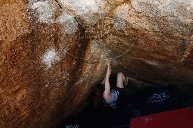 Bouldering in Hueco Tanks on 03/29/2019 with Blue Lizard Climbing and Yoga

Filename: SRM_20190329_1114180.jpg
Aperture: f/5.6
Shutter Speed: 1/250
Body: Canon EOS-1D Mark II
Lens: Canon EF 16-35mm f/2.8 L