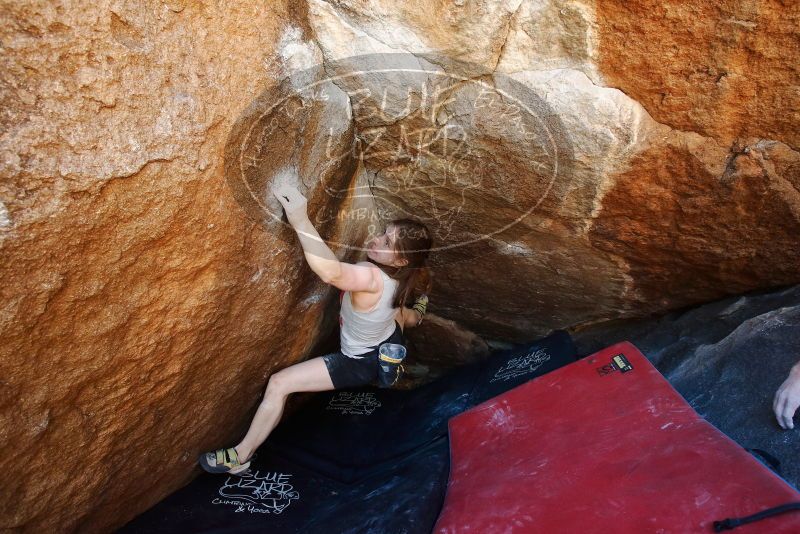 Bouldering in Hueco Tanks on 03/29/2019 with Blue Lizard Climbing and Yoga

Filename: SRM_20190329_1126330.jpg
Aperture: f/5.6
Shutter Speed: 1/200
Body: Canon EOS-1D Mark II
Lens: Canon EF 16-35mm f/2.8 L